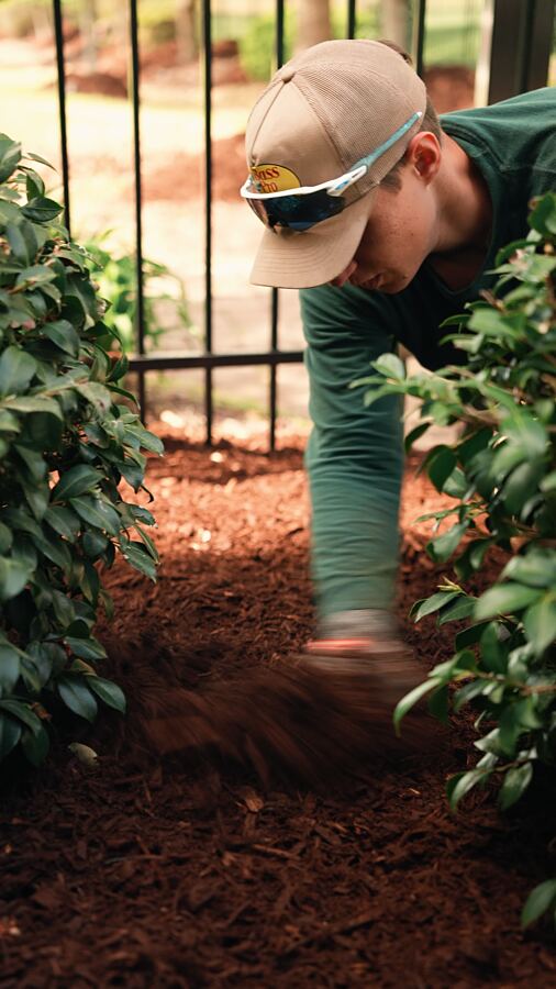 Spring vs. Fall Cleanup: What Your Yard Actually Needs