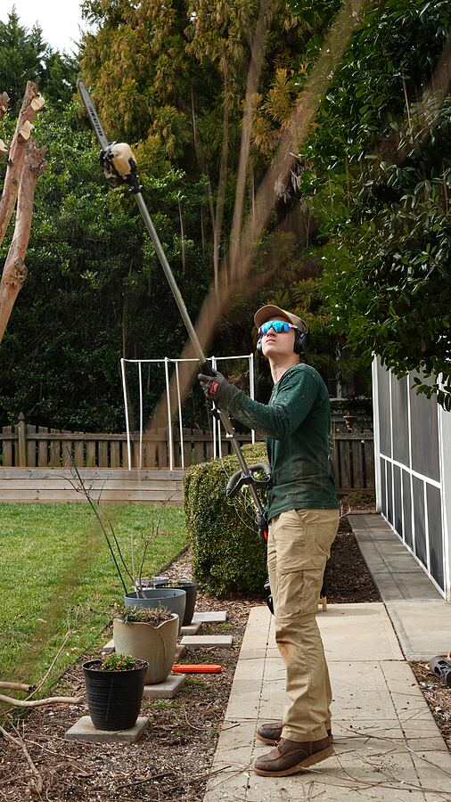 Bush Trimming